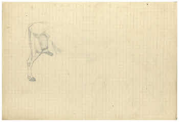 Visualizza l'immagine "FD Album 3, 14 v."